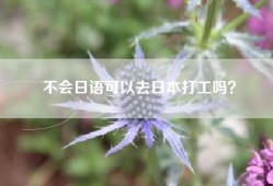 不会日语可以去日本打工吗？