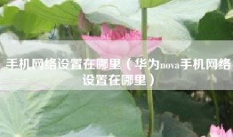 手机网络设置在哪里（华为nova手机网络设置在哪里）
