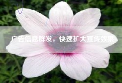 广告信息群发，快速扩大宣传效果