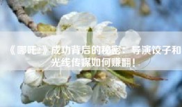 《哪吒2》成功背后的秘密：导演饺子和光线传媒如何赚翻！