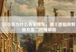 汪小菲为什么有军牌车，遭王思聪讽刺冒充富二代辣眼睛