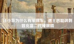 汪小菲为什么有军牌车，遭王思聪讽刺冒充富二代辣眼睛