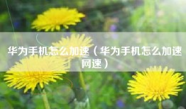 华为手机怎么加速（华为手机怎么加速网速）