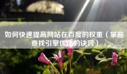 如何快速提高网站在百度的权重（掌握查找引擎优化的诀窍）