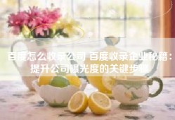 百度怎么收录公司 百度收录企业秘籍：提升公司曝光度的关键步骤