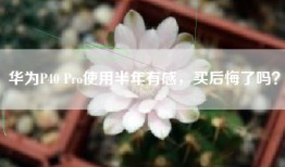 华为P40 Pro使用半年有感，买后悔了吗？