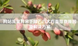 网站流量异常下降？六大方面排查原因及解决方案