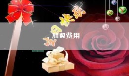 加盟费用