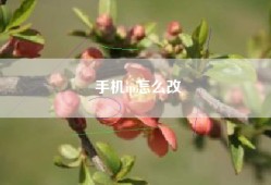 手机ip怎么改
