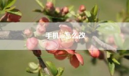 手机ip怎么改