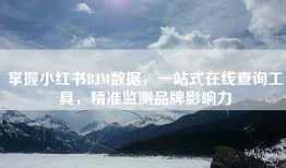 掌握小红书BJM数据，一站式在线查询工具，精准监测品牌影响力