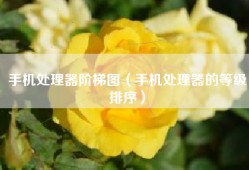 手机处理器阶梯图（手机处理器的等级排序）