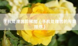 手机处理器阶梯图（手机处理器的等级排序）