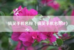 搞笑手机名称（搞笑手机名称ld）