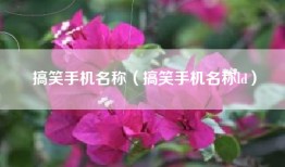 搞笑手机名称（搞笑手机名称ld）