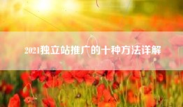 2021独立站推广的十种方法详解