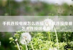 手机连接电视怎么连接（手机连接电视怎么连接呀小布）