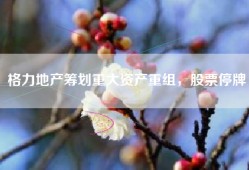 格力地产筹划重大资产重组，股票停牌