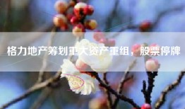 格力地产筹划重大资产重组，股票停牌
