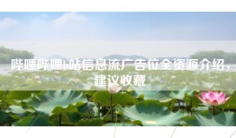 哔哩哔哩b站信息流广告位全资源介绍，建议收藏