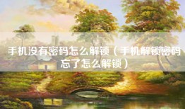 手机没有密码怎么解锁（手机解锁密码忘了怎么解锁）
