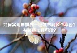 如何实现自媒体一键发布到多个平台？有哪些工具可用？