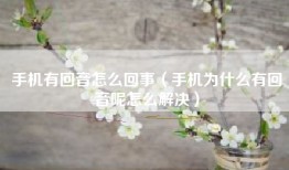 手机有回音怎么回事（手机为什么有回音呢怎么解决）