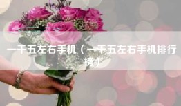 一千五左右手机（一千五左右手机排行榜）