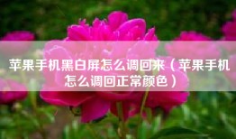 苹果手机黑白屏怎么调回来（苹果手机怎么调回正常颜色）