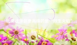 比灵魂伴侣更高级的是“双生火焰”