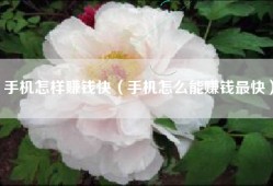 手机怎样赚钱快（手机怎么能赚钱最快）