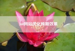 360网站优化预期效果