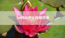 360网站优化预期效果
