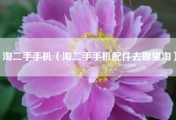 淘二手手机（淘二手手机配件去哪里淘）