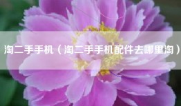 淘二手手机（淘二手手机配件去哪里淘）