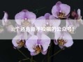 33个适合新手投稿的公众号！