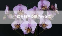 33个适合新手投稿的公众号！