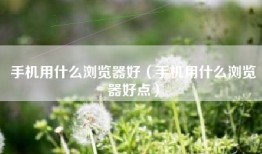 手机用什么浏览器好（手机用什么浏览器好点）