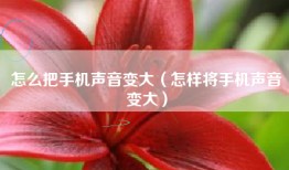 怎么把手机声音变大（怎样将手机声音变大）