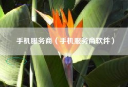 手机服务商（手机服务商软件）