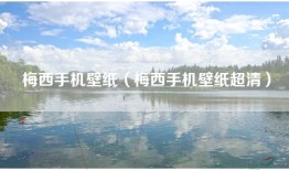 梅西手机壁纸（梅西手机壁纸超清）