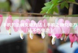 手机的正确充电方法（手机正确充电方法不伤电池）