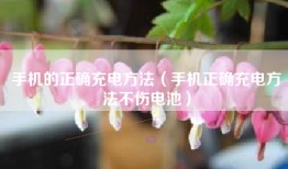 手机的正确充电方法（手机正确充电方法不伤电池）