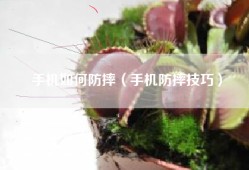 手机如何防摔（手机防摔技巧）