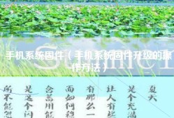 手机系统固件（手机系统固件升级的操作方法）