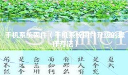 手机系统固件（手机系统固件升级的操作方法）