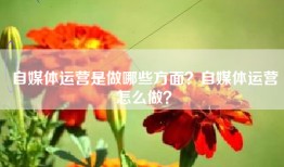 自媒体运营是做哪些方面？自媒体运营怎么做？