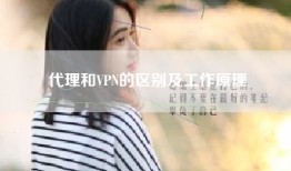 代理和VPN的区别及工作原理
