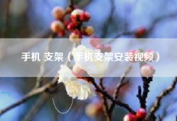 手机 支架（手机支架安装视频）