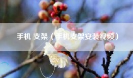 手机 支架（手机支架安装视频）